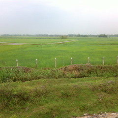 Yanrh