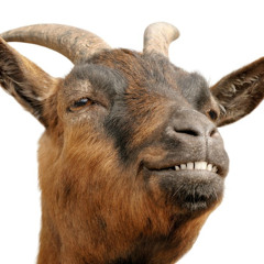 goat (prod. judge)