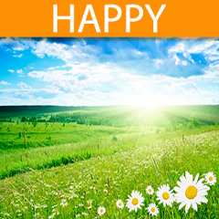 Promogold - Cheerful Guitar (AudioJungle Preview)