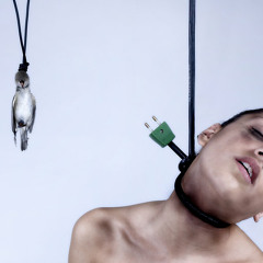 Kill The Bird (vogeltjesdans Terror)