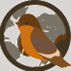 ROBIN'S KOFFIEWERELD 2014