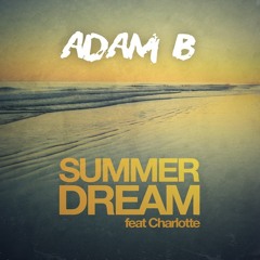 Summer dream (Radio Edit) [Street Parade 2012 Anthem]