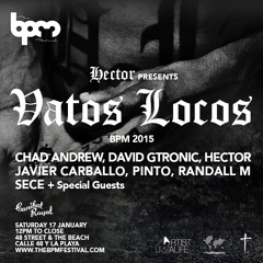 David Gtronic - Vatos Locos BPM 2015 Promo Mix