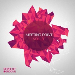 IDR3N - Party House (Original Mix) Snippet