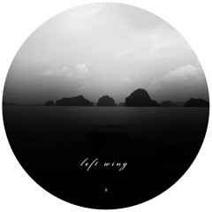 B1. Luke Black - Melvin's House [LEFTWING011]