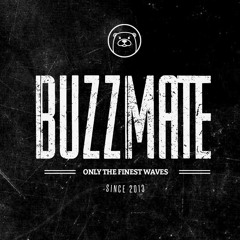 RyanOtter - Buzzmate (FREE)