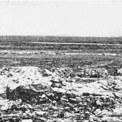 Peter Jenko - A Trip to Wasteland