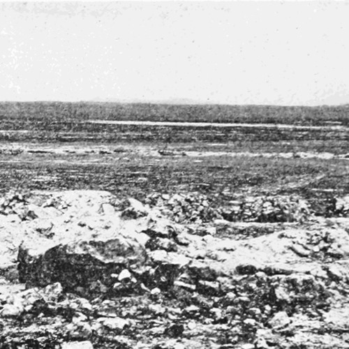 Peter Jenko - A Trip to Wasteland