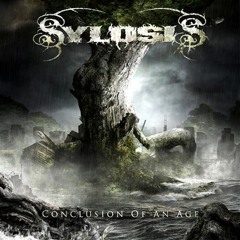Sylosis - After Lifeliess Years (Cover by Markus Heilmeier)