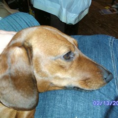 T.R. Grisham calls Walmart