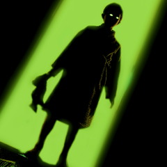 The Visitor