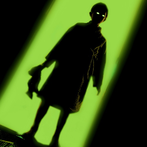 The Visitor