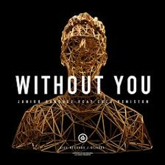 Junior Sanchez & CeCe Peniston - Without You