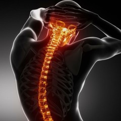 Ateoran - spinal cord - frequency