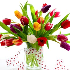 وأيات الغرام البينات - الشيخ محمود الدرة