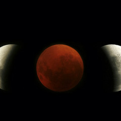 ☾ 1000+1 NIGHT ◐