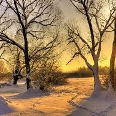 DecemBURR (HollywoodSin x Will Hansford)