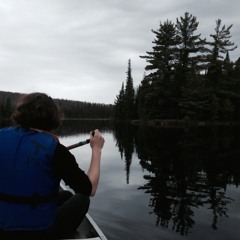 Frogs, Algonquin Park, Canada