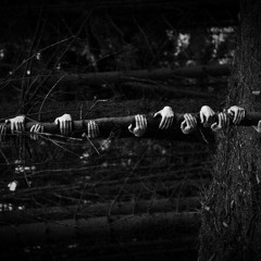 AALLXX- Shadow Diciembre