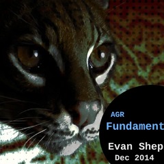 AGR Fundamentals: Evan Shepherd
