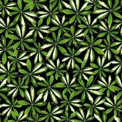 jungle @ ganja beats