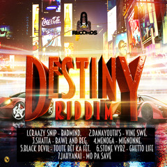 DANAYOUTH'S - SWÉ - DESTINY RIDDIM