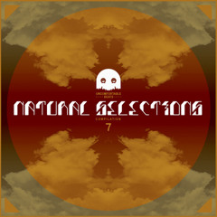 Able8 - Dear Lonely Ft. Arowe & Che Steer