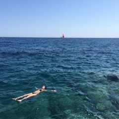 Peter And The Wolf - Mellow Owl - 01 01 Supermellofied