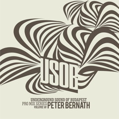 Underground Sound Of Budapest 008 - Peter Bernath