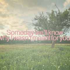 Someday We'll Know
