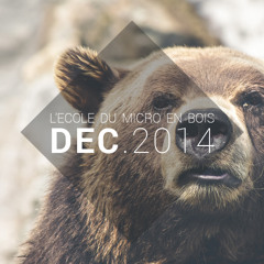 DECEMBRE 2014 - L'école du micro en bois