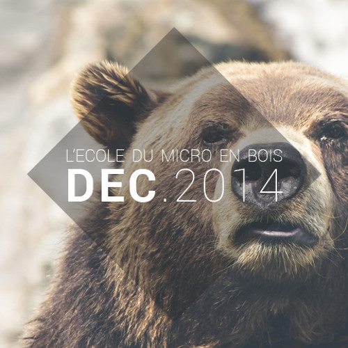 DECEMBRE 2014 - L'école du micro en bois