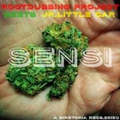 01 - ROOTDUBBINGPROJECT MEETS JR. LITTLE CAR - Sensi