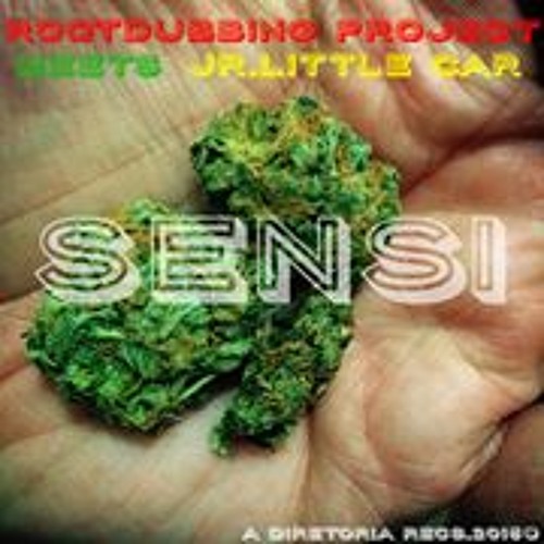 01 - ROOTDUBBINGPROJECT MEETS JR. LITTLE CAR - Sensi
