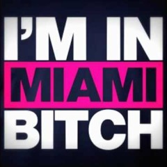 LMFAO - I'm In Miami Bitch (Maxindra REMIX Preview) 2015