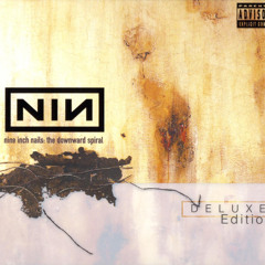 Nine Inch Nails - Closer(hecteli Remix)