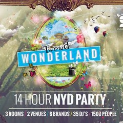 Twisted Wonderland Promo Mix
