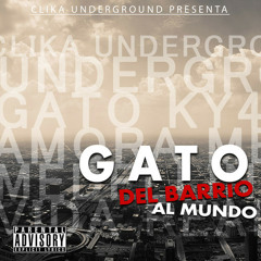 Ky4 Calle 4 Gato bu-k  Del Barrio Al Mundo