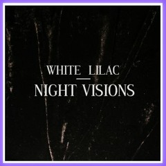 Night Visions