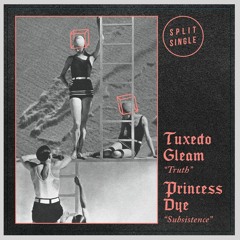 Princess Dye - Subsistence