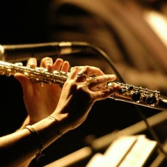 Flauta traversa y guitarra clásica