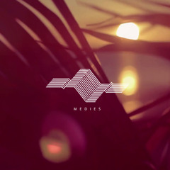 French Montana - Ain't Worried About Nothin'(MEDIES Remix) // FREE DOWNLOAD //