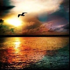 Apathy (Instrumental)(Wav)