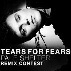 Tears 4 Fears - Pale Shelter (Bitmud Remix)