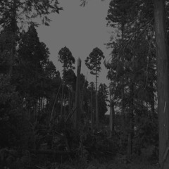 Dzu​-​Vxn_outtake