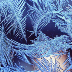 Пришла Зима