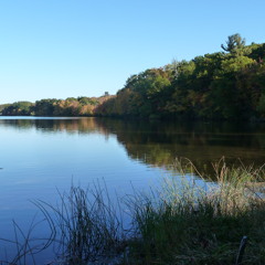 Sad Song ver2 slightly mixed and shortened