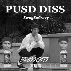 PUSD Diss Track (Prod. by Brasscats)