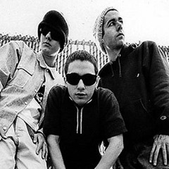 Beastie Boys - Root Down (And Been Caught Stealing)(S. Dot Remix)