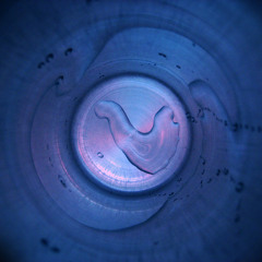 Persistent Resistant(w/ ZachCarpenter)-Remastered.